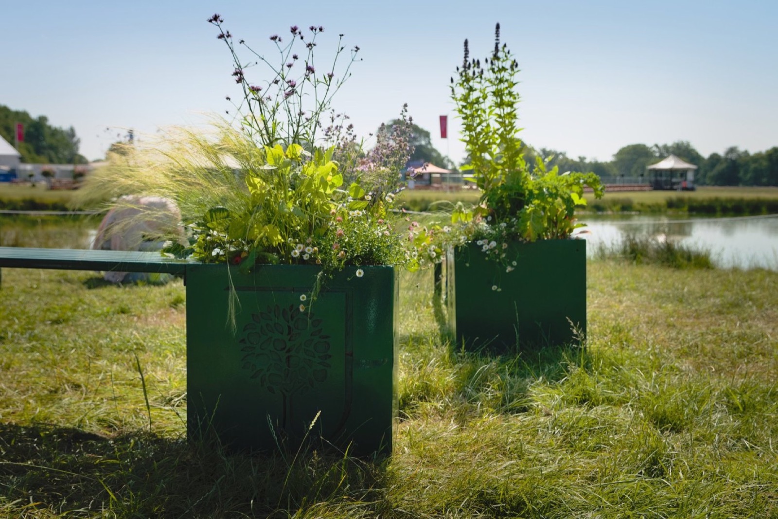Planted green planters beside the lake at RHS Badminton