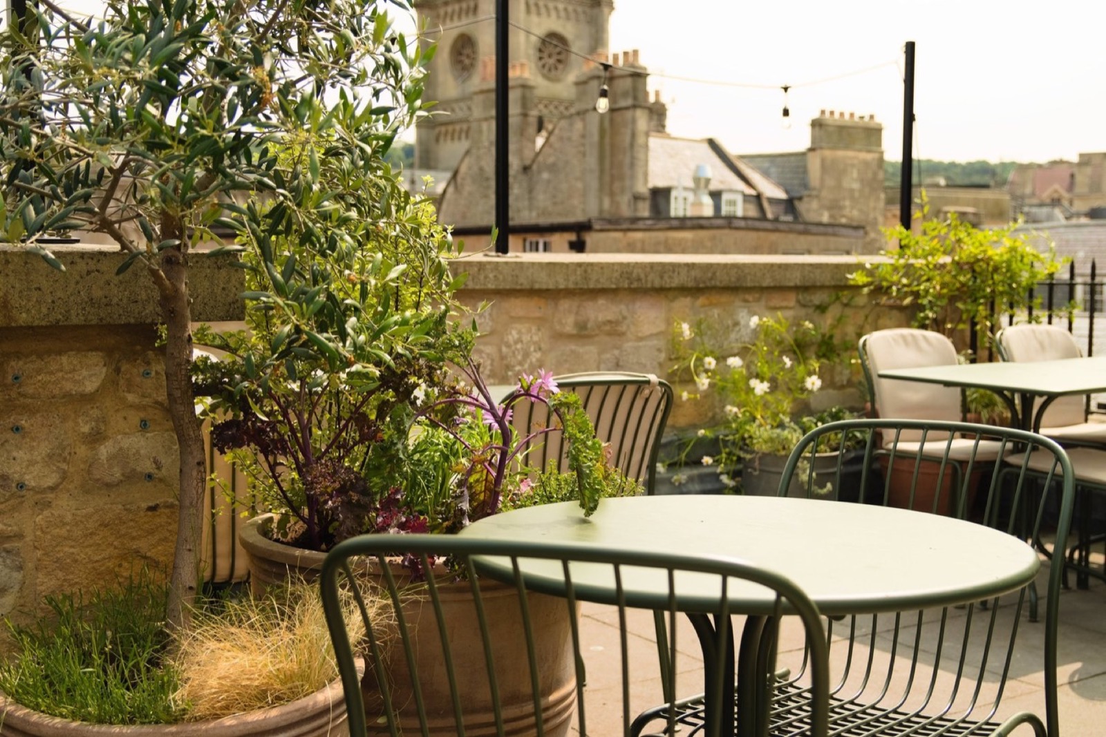 Olive trees and herbs around café tables on the Root Bath rooftop